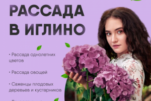 Креативы для таргетированной рекламы