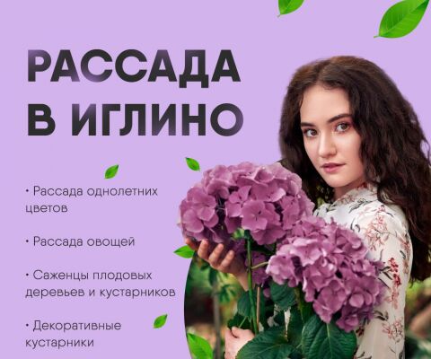 img4358721.png