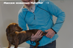 Кейс Массаж животных NaturVet