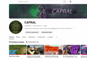 Собственный канал на Ютуб (не занимаюсь сейчас)