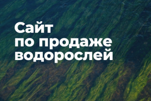 Интернет-магазин водорослей