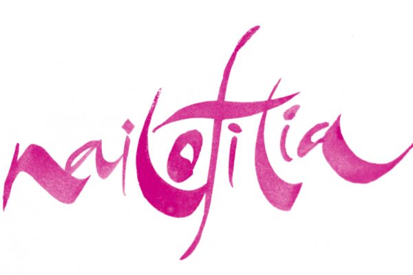 img3993750.png