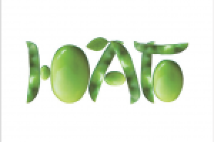 Работа 2018031