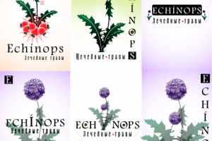 Магазин лечебных трав "Echinops"