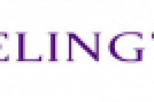 Velington - база недвижимости