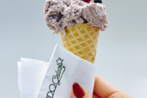GVIDO GELATO / Branding / 2017 / Russia, Moscow
