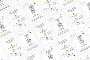 IQ2U studio Германия, Берлин