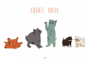 любите кисок