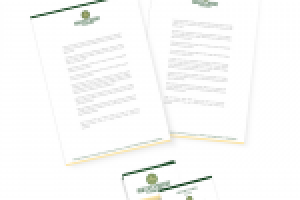 Работа 1115047