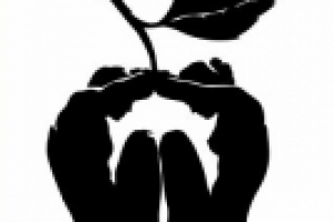 Работа 1492068