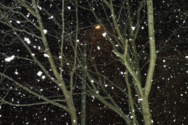 img4121301.png