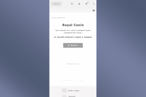Прототип главной страницы интернет-магазина (mobile_480px)