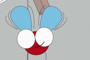 Кирпич и муха