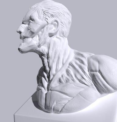 img4355454.png