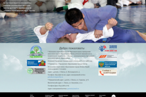 Муниципальное бюджетное образовательное учреждение дополнительно