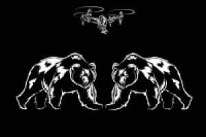 Отрисовка Медведей и Квадрокоптера