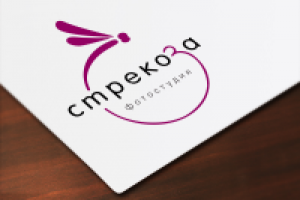 Логотип для фотостудии Стрекоза