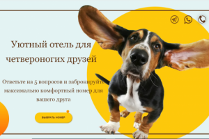 Гостиница для животных с видеонаблюдением