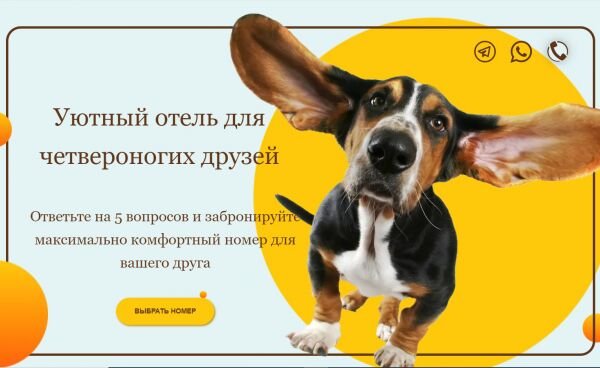 img4385158.png