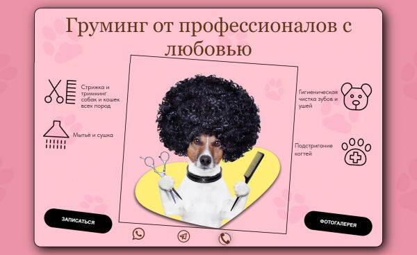img4385157.png
