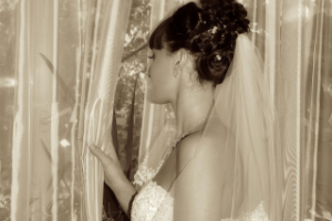 Работа 3188731