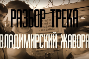 ВЛАДИМИРСКИЙ ЖАВОРА - Разбор трека