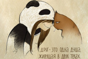 Хроники Барсика