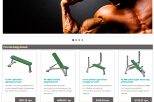 Магазин спортивных тренажеров (sportechd.com)