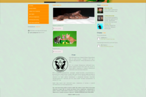 Сайт любителей кошек (icu-nsk.ru)