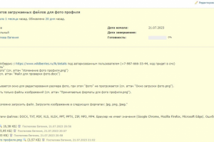 Пример оформления баг-репорта