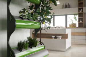 Визуализация 1