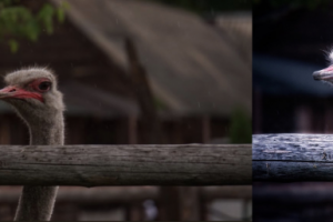 Ретушь До-После