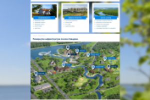 разработка сайта