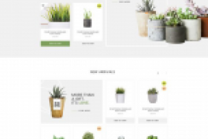 Интернет магазин цветов