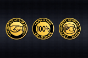 иконки (сертификат соответствия, оф. дилер, гарантия кач-ва)