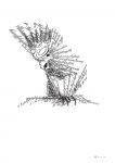 img1069639.png