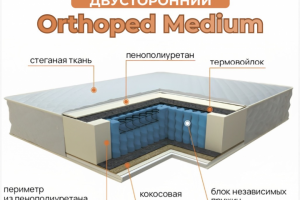 Инфографика для Ozon