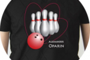 Принт на футболку