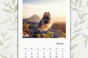 Календарь 2020 (1)
