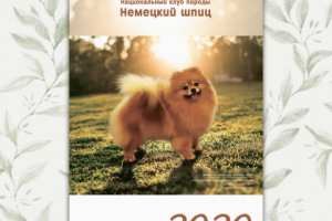 Календарь 2020
