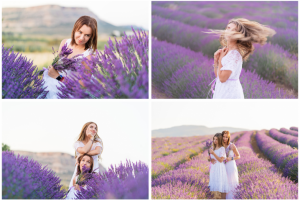 Лавандовые поля