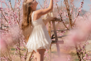 Работа 3877951