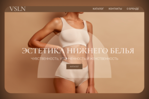 Сайт для магазина нижнего белья “VSLN”