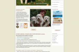 Перенос сайт с самописного движка на WP + адаптивный дизайн