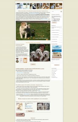 img3367377.png