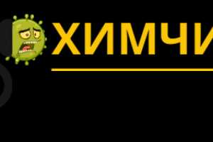 Выездная химчистка в Н.Новгороде