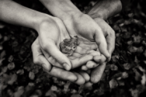 keep this warm automne