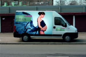 Работа 2915031