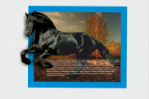 Работа 3003560