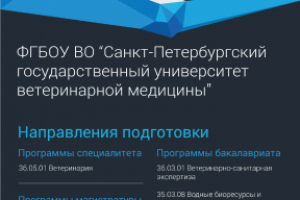 Баннер презентация